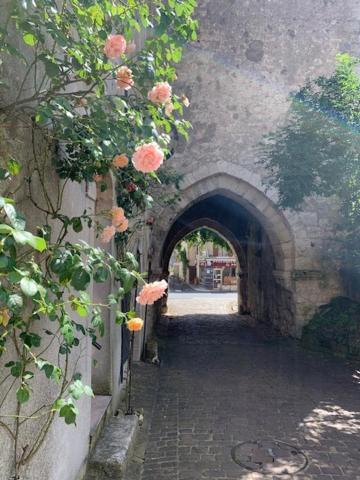 Maison Jeanne D'Arc Mennetou-sur-Cher Ngoại thất bức ảnh